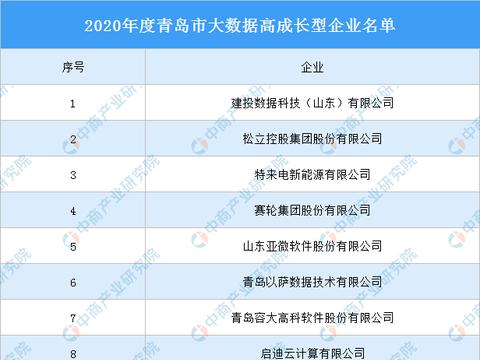 2020年度青島市大數(shù)據(jù)高成長型企業(yè)名單發(fā)布，數(shù)據(jù)處理與存儲服務(wù)引領(lǐng)行業(yè)風(fēng)向